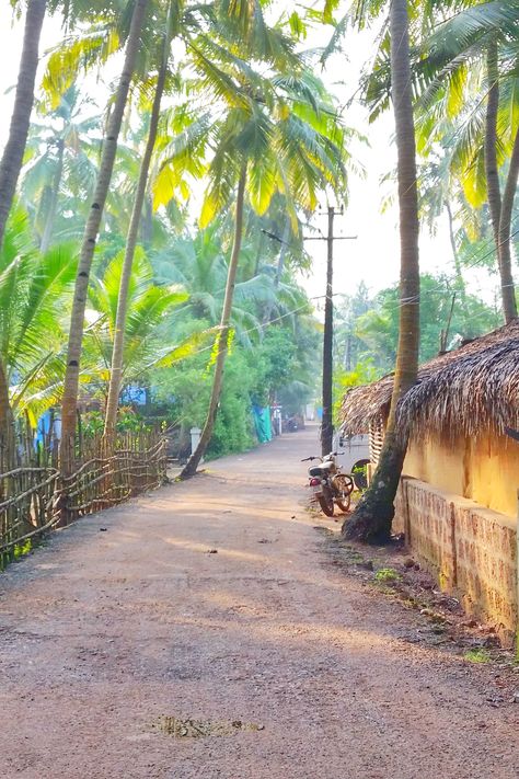 World Best Photography Pictures, Nature Road Background, Natural Baground Image, Village Road Background, Beautiful Roads Photography, Best Nature Pictures, Roads Photography, Tropical Photography, Road Background