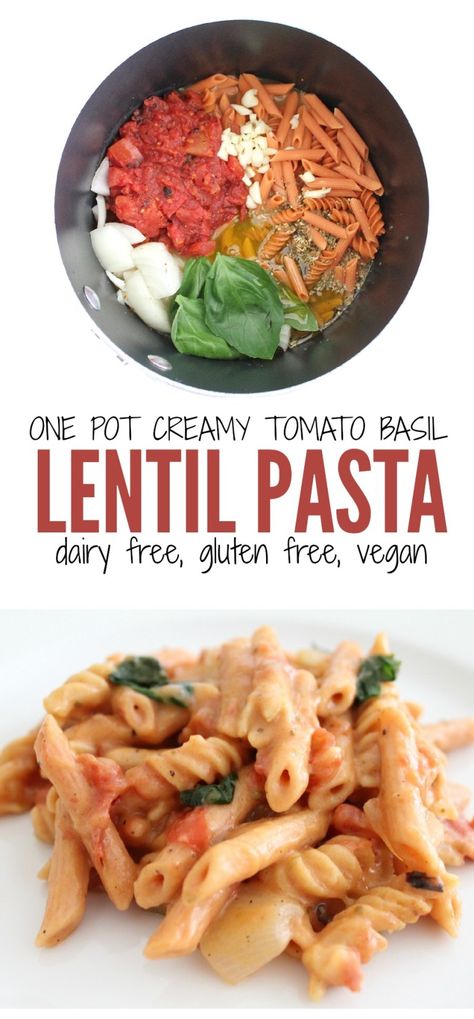 Red Lentil Pasta Recipes, Creamy Tomato Basil Pasta, Lentil Pasta Recipe, Red Lentil Pasta, Health Lunch, Tomato Basil Pasta, Lentil Pasta, Basil Pasta, Dairy Free Gluten Free