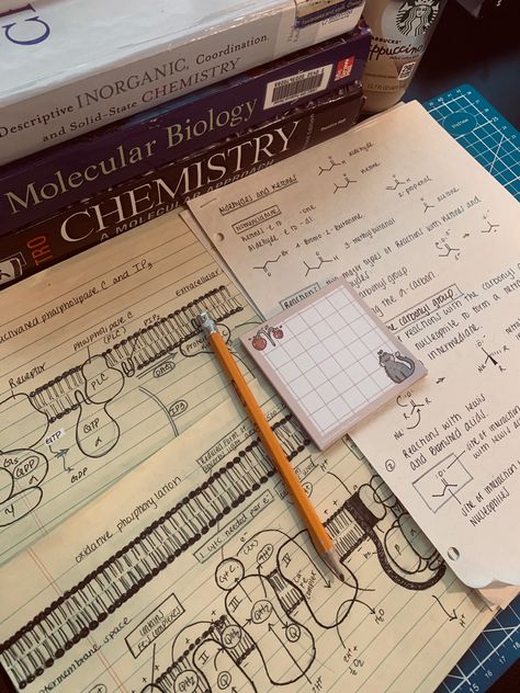 I have a passion for creating educational infographics to help students studying chemistry, biology, biochemistry, microbiology, chemical biology, organic chemistry, and other science based classes in college and high school throughout the fall and spring semesters. I truly hope these graphics help with your continued studies in medical school #science #chemistry #biology #notetaking #notetakingtips #handwrittennotes #notetaking #notes #medicalnotes #nursingnotes #sciencenotes Science College Aesthetic, Chemistry Aethstetic, Lessons In Chemistry Aesthetic Book, Biology And Chemistry Aesthetic, Chemistry Astethic, Biochemistry Aesthetic Notes, Aesthetic Biochemistry, High School Science Teacher Aesthetic, Chemistry A Level Aesthetic