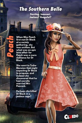 Miss Peach Costume Clue, Cluedo Characters Costumes, Clue Dinner Party, Whodunnit Party, Cluedo Characters, Cluedo Board, Clue Characters, Clue Costume, Clue Game