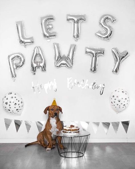 Easy Dog Birthday Decorations That Show Love！ – PartyEight Dog Birthday Balloons, Dog 1st Birthday Pictures, Dogs 1st Birthday Ideas, Dog 1st Birthday Ideas, Pet Birthday Ideas, Dogs Birthday Ideas, Dog Bday Party Ideas, Dog Birthday Party Ideas Decoration, Dog Birthday Ideas