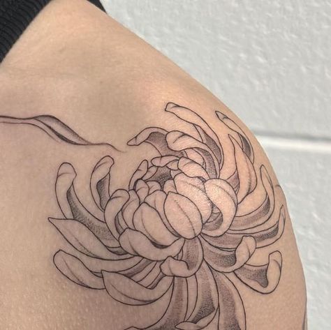 Sherry | Machine & Hand-poke Tattoos on Instagram: "Chrysanthemums with abstract background, thank you Chloe!  #chrysanthemumtattoo #montrealtattoo" Chrysanthemum Tattoo Meaning, Chrysanthemum Hand Tattoo, Chrysanthemum Back Tattoo, Chrysanthemum And Peony Tattoo, Chrisantem Tattoo, Crysanthemum Tattoo Simple, Chrysanthemums Tattoo, Japanese Chrysanthemum Tattoo, Chrysanthemum Tattoo Small