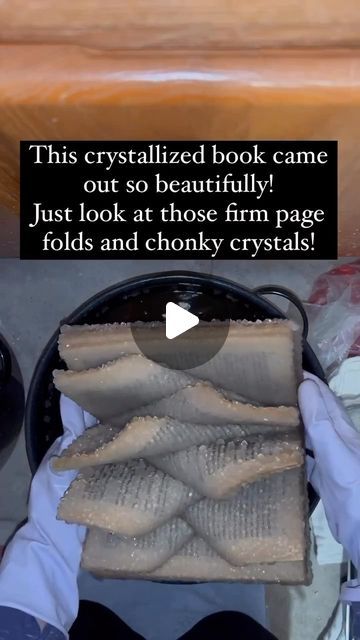 ᴛʜᴇ ʜᴏʀʀᴏʀ ɢᴀʟʟᴇʀʏ on Instagram: "CRYSTALLIZED BOOKS !!! ✨📖 I can’t wait to see this one all dried out !! . By @half.moon.magic . . #crystal #crystals #crystalbook #crystalbooks #crystalgram #recycledart #recycledbook #recycledcrafts #crystallover #booklover #bookworm #books #booklove #bookstagram #lovebooks #bookish #bookaesthetic #bookaesthetics #bookishbounds #witchyvibes #witchy #crystalsofinstagram #gifts #curiosities #oddities" Crystalised Book, Crystallised Book, Borax Crystal Book Diy, How To Crystallize A Book, Diy Crystalized Book, How To Crystallize Books, Crystallized Book Diy, Borax Book, Fake Crystals Diy