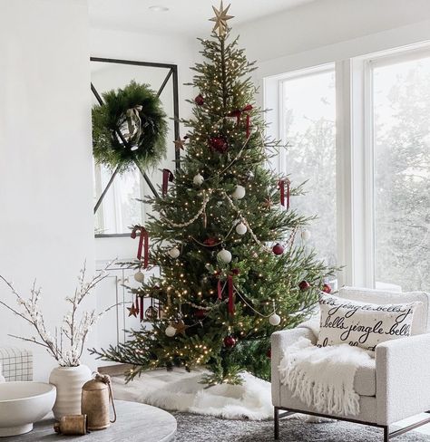 Hillary HOME + STYLE + DESIGN on Instagram: “Christmas Tree #1...⁣ ⁣ Well. I was hoping to share our main tree upstairs with you this am, but that lost box of ribbon, the one that the…” Classic Christmas Tree Decor, Christmas Tree Classic, Tree Decor Christmas, Pottery Barn Christmas, Decor Christmas Tree, Classic Christmas Tree, Christmas Decor Inspiration, Christmas Tours, Christmas Tree Inspiration