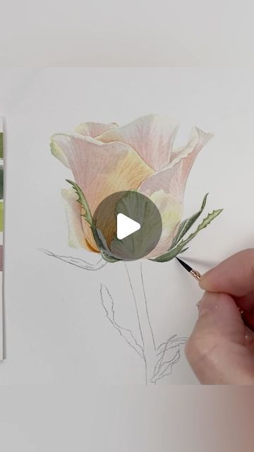 Watercolor Videos Tutorial, Botanical Illustration Tutorial, Watercolor Illustration Tutorial, Flower Watercolor Tutorial, Rose Painting Watercolor, Floral Painting Videos, Botanical Watercolor Painting, Watercolour Roses, Rose Artwork