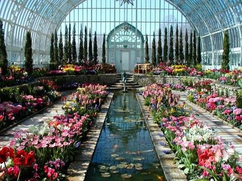 Garfield Park Conservatory and Sunken Gardens Indianapolis, IN Matka Natura, Sunken Garden, Pretty Places, Design Case, Oh The Places Youll Go, Secret Garden, Beautiful World, Tuscany, Flower Power