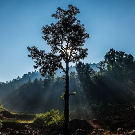 Araku Valley.  https://renghaholidays.com/packages/171/Explore-the-natural-beauty-of-Araku-Valley-2N-3D  Araku Valley is a hill station and valley region in the southeastern Indian state of Andhra Pradesh. It's surrounded by the thick forests of the Eastern Ghats mountain range. The Tribal Museum is dedicated to the area's numerous indigenous tribes, known for their traditional Dhimsa dance, and showcases traditional handicrafts. A miniature train runs through Padmapuram Gardens, with its sculpt Araku Valley Photography, Araku Valley, Miniature Train, Valley Photography, India Travel Places, Indigenous Tribes, Hill Station, Vision Boards, Travel Places