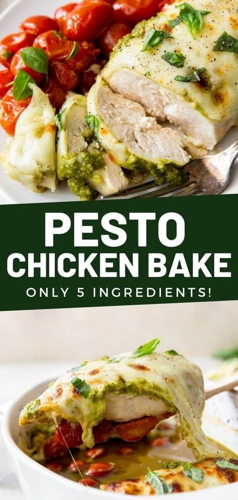 This easy Pesto Chicken Bake is made with just 5 ingredients and bakes up in 35 minutes! Tender chicken breast is baked with tomatoes, pesto, and mozzarella for the perfect weeknight meal that can be served with pasta, rice, or a fresh green salad. Keto Cheesy Chicken, Pesto Chicken Bake, Easy Pesto Chicken, Cheesy Chicken Fritters, Pesto And Mozzarella, Chicken Fritters Recipe, Pesto Chicken Breast, Basil Pesto Chicken, Homemade Pesto Recipe