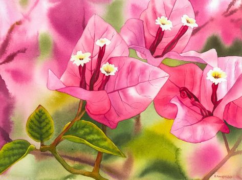 Spanish Mural, Bougainvillea Painting, Flowers Paintings, Coloring Ideas, Learn How To Paint, Watercolor Painting Techniques, Watercolor Flower Art, Plant Painting, Flower Paintings