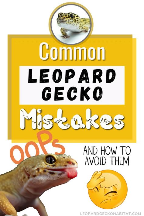 Leopard Gecko Diy, Spotted Gecko, Leopard Gecko Hide, Leopard Gecko Cute, Leopard Gecko Habitat, Leopard Gecko Tank, Leopard Gecko Care, Leopard Gecko Morphs, Lizard Habitat