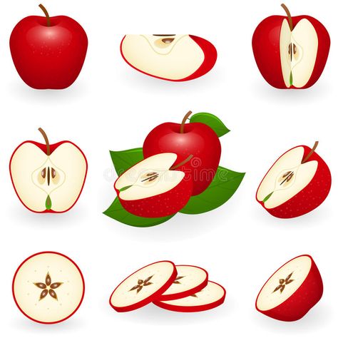 Apple Slice Illustration, Apple Slice Drawing, Apple Vector Illustration, Apple Fruit Art, Half Apple Tattoo, Apple Slice Tattoo, Apple Illustration Art, Apple Drawing Reference, Apple Design Fruit