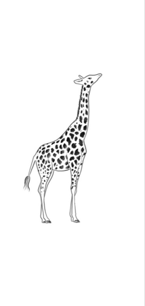 Giraffe Tattoo Stencil, Fineline Giraffe Tattoo, Zookeeper Tattoo, Fine Line Giraffe Tattoo, Giraffe Tattoo Design, Small Giraffe Tattoo, Giraffe Tattoo, Small Bird Tattoos, Tattoos 2024