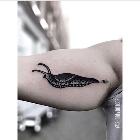 Blackwork slug tattoo inked on the right arm Burning Candle Tattoo, Small Animal Tattoos, Stag Tattoo, Candle Tattoo, Sacred Geometry Tattoo, Geometry Tattoo, Sternum Tattoo, Ship Tattoo, Face Tattoos