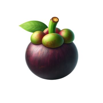 mangosteen,mangosteen 3d,fruit,fresh mangosteen,sweet fruit,tropical fruit,garcinia indica,fruit mangosteen,fresh fruit,sweet mangosteen free,purple mangosteen,fruit illustration,hainan mangosteen,fruit queen,delicious mangosteen,mangosteen fruit,fresh mangosteen illustration,fruit forest,peeled mangosteen,mangosteen illustration,peeled fruit,reddish brown fruit,fresh,fruits,delicious,food,mangosteen pictures,cartoon mangosteen,fruit tree mangosteen,open mangosteen,purple fruit,two mangosteen,vitamin,style mangosteen,orchard,mangosteen material,sweet,food mangosteen,healthy fruit,fruit tree,nutrition,hand painted mangosteen,purple,nice,healthy,natural,thai mangosteen,dessert,cartoon,mangosteen free,nature Fruit Forest, Mangosteen Fruit, Illustration Fruit, Fruit Png, Fruit Fresh, Purple Fruit, Fruit Fruit, Logo Cloud, Free Nature