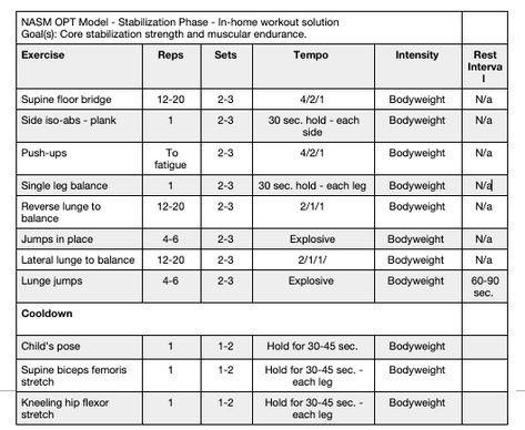 Full Body Workout Plan, Workout Template, Nasm Cpt, Sports Therapy, Fitness Facts, Full Body Hiit Workout, Bodyweight Exercises, Fitness Facilities, Body Weight Training