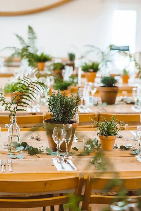 The theme combines sustainable materials to inspire couples with eco-friendly wedding ideas that don’t compromising on style. Image by DHW Photography. #tablescapestyling #greenweddings #botanticalwedding #ecofriendlyweddingideas #sustainableweddingdecor Potted Herb Wedding Centerpiece, Plant Wedding Table Decor, Tent Decor Wedding Reception, Wedding Table Plants, House Plant Centerpieces, Potted Flowers For Wedding, Potted Plant Wedding Centerpieces, Potted Plant Centerpieces Wedding, Potted Plants Wedding Decor