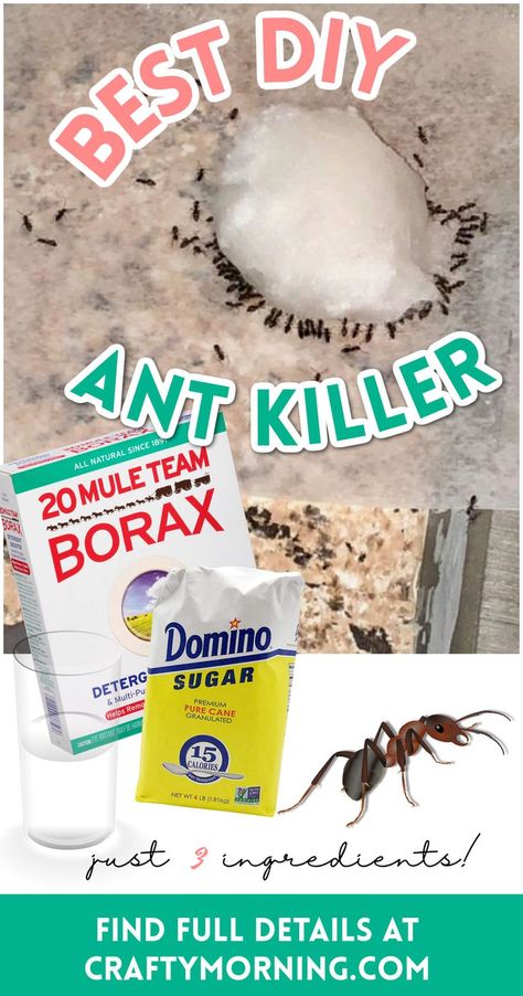 How To Get Rid Of Ants Naturally In The House, Any Killer Natural, Ant Borax Recipe, Diy Any Killer Indoor, How To Get Rid Of Anys In The House, Ant Spray Diy Homemade How To Get Rid, How To Get Rid Of Ants Naturally, Get Rid Of Bugs In House, Ant Control In House