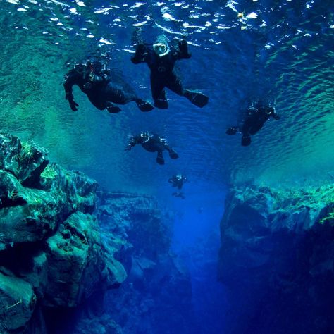 Voted one of the best destinations in the world to snorkel by @condenasttraveller; Silfra is a mesmerizing and unique experience in Iceland. What do you say to snorkeling in a fissure between two tectonic plates in the crystal-clear waters of Þingvellir National Park?! Just an hour outside Reykjavík, this remarkable crack between two tectonic plates is filled with the clearest water on our planet, allowing for over 100 meters of visibility. And don't worry, you will be dressed in all the kit... Tectonic Plates, Thingvellir National Park, Plate Tectonics, Crystal Clear Water, Reykjavik, Amazing Destinations, Our Planet, Real Pictures, Snorkeling