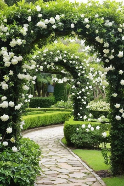 Enhance your outdoor space with beautiful climbing plants for arches and pergolas. Discover the best vines to grow on arches, adding a touch of elegance and color to your garden. Transform your arch trellis with vibrant flowering vines suitable for arbors. Create a stunning visual display with the most radiant and gorgeous plants perfect for adorning your arch trellis. Garden Archway Plants, Garden Arched Trellis Ideas, Pergola With Climbing Plants, Arbor Trellis Ideas, Vine Covered Pergola, Trumpet Vine Trellis, Backyard Redesign, Gorgeous Plants, Nyc Condo