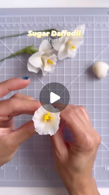 Daffodil Cake, Cold Porcelain Tutorial, Sugar Paste Flowers, Sugar Flowers Tutorial, Fondant Flower Tutorial, Flower Step By Step, Handmade Cake Topper, Cold Porcelain Flowers, Cake Decorating With Fondant