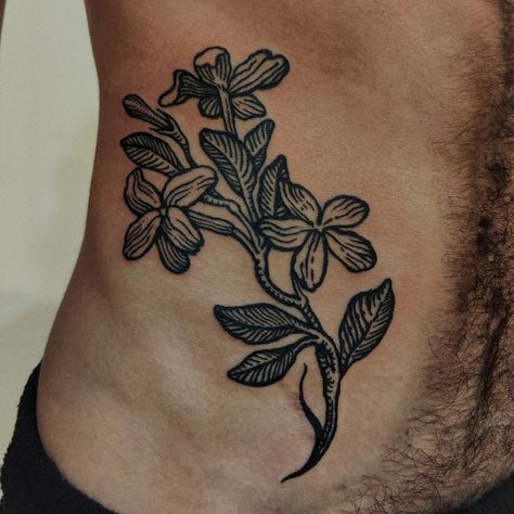 ✥ 𝕬𝕷𝕴𝖃𝕰 𝕮𝕺𝕺𝕻𝕰𝕽 ✥ on Instagram: "Some Jasmin flowers for Sam✨ ••• @blackcircle_montreal ••• #paris #montreal #occulttattoo #blackwork #lineworktattoo #linework #etching #etchingtattoo #woodcut #woodcuttattoo #engraving #engravingtattoo #engravingstyle #engravingwork #botanicaltattoo #jasmintattoo" Jasmine Tattoo, Lower Leg Tattoos, Etching Tattoo, Woodcut Tattoo, Traditional Tattoo Flowers, Medieval Tattoo, Engraving Tattoo, Traditional Tattoo Designs, Tattoo Filler