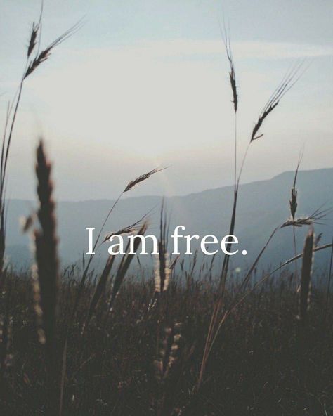 I Am Free Wallpaper, I Am Free Aesthetic, Calm Vision Board, I Am Authentic, I Am Free Quotes, Im Free, Free At Last, I Am Free, I Am