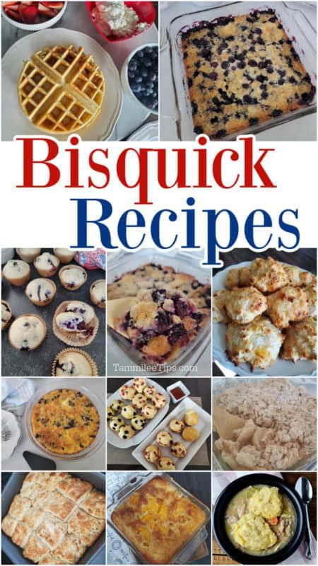 Easy Bisquick Dessert Recipes, Blueberry Recipes With Bisquick, Diy Bisquick Mix Recipes, Bisquick Bread Recipes, Bisquick Rolls, Bisquick Dessert Recipes, Bisquick Pizza Crust, Biscuit Pretzels, Recipes With Bisquick