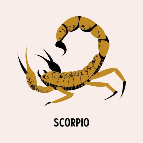 Sign of the zodiac Scorpio. Constellation of the Scorpion. Vector illustration. Scorpion Drawing Reference, Scorpion Art Illustration, Cartoon Scorpion, Symbolic Illustration, Scorpion Vector, Scorpio Illustration, Scorpion Illustration, Scorpion Drawing, Scorpio Images