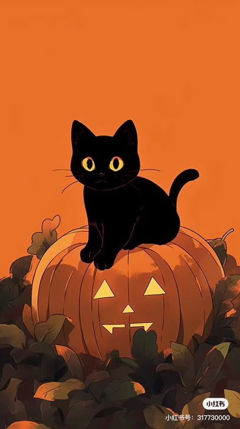 Black Cat On Pumpkin Painting, Halloween Cat Backgrounds Wallpapers, Halloween Matching Pfp Cats, Halloween Kitty Wallpaper, Black Cat Fall Wallpaper, Halloween Cat Background, Cat In Pumpkin Drawing, Cat Pfp Halloween, Halloween Black Cat Wallpaper