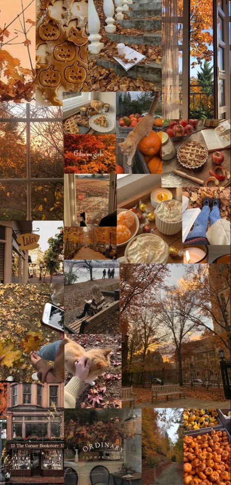 Fall background collage aesthetic, Gilmore girls, cozy fall, orange, neutral colors, october, november aesthetics, fall baking pumpkins, autumn Fall Collages Wallpaper, October Aesthetic Collage, Fall Lockscreen Aesthetic Collage, November Aesthetic Wallpaper Collage, Autumn Wallpaper September, Fall Wallpapers Collage, Fall Wallpaper 2023, Fall Pic Collage, Fall Wallpapers Collages