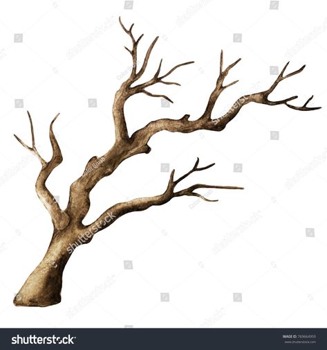 Watercolor Dry Tree Branch Bare Tree Stock Illustration 375135256 Drawing Of Tree Branches, Watercolor Tree Branch, How To Paint Branches, Tree Branch Drawing Simple, Dry Tree Drawing, Tree Branch Reference, How To Draw Tree Branches, Tree Branches Painting, Bare Tree Drawing