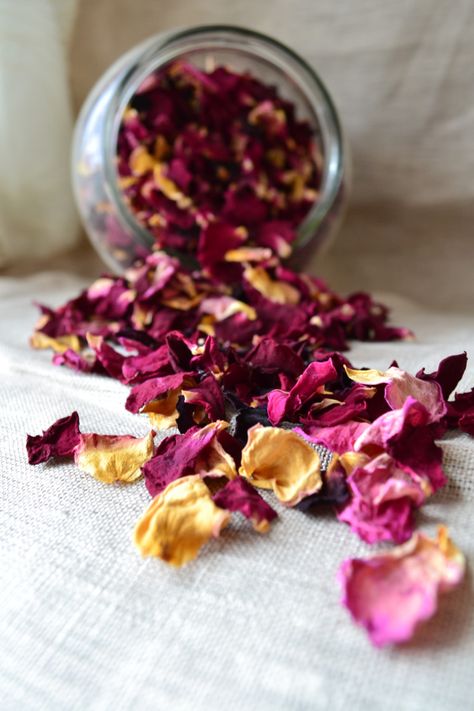 Uses For Rose Petals, Dried Rose Petals, Rose Petals, The Garden