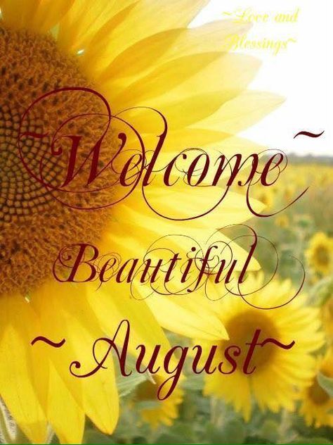 Time flies when you’re having fun!What happened to June and July? August Month Quotes, Welcome August Quotes, Hello August Images, New Month Wishes, August Pictures, August Images, Neuer Monat, New Month Quotes, Welcome August