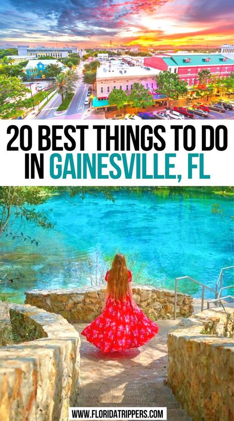 20 Best Things To Do In Gainesville, FL Florida Itinerary, Best Places In Florida, Best Bucket List, Florida Parks, Florida Adventures, Florida Food, Florida Destinations, Florida Springs, Places In Florida