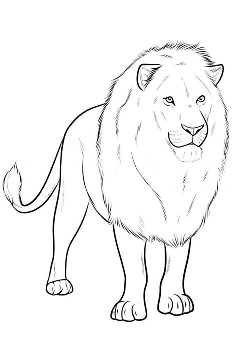 Lion Drawing Step By Step, Lion Drawing Ideas, Line Art Hair, Realistic Lion Drawing, Lion Drawing Simple, Animal Sketches Easy, Draw A Lion, Lion Face Drawing, Sketch Outline