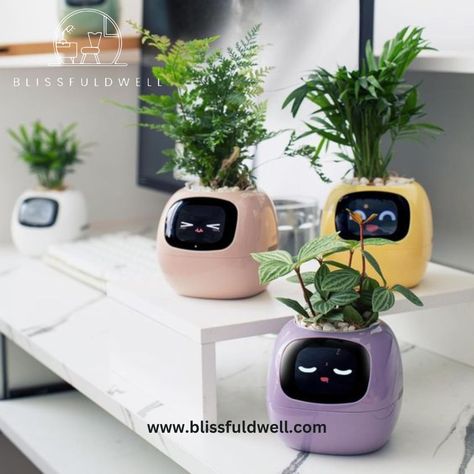 🌿 Elevate Your Space with Our Smart Plant Pot! 🌿 Perfect for desktops and small spaces, this sleek flower vase is ideal for green plants and ivy. Add a touch of nature to your home or office effortlessly. Shop Now: https://blissfuldwell.com/products/smart-plant-pot-small-flower-vase-for-desktop-green-plants-and-ivy-1 #BlissfulDwell #SmartPlantPot #GreenLiving #HomeDecor #officedecor #blissfuldwell #blissful #decorationideas #diy Aquarium Soil, Mini Plant Pots, Pot Design, Aquarium Accessories, Shelf Lighting, All Fish, Pot Plant, Self Watering Planter, Mini Plants