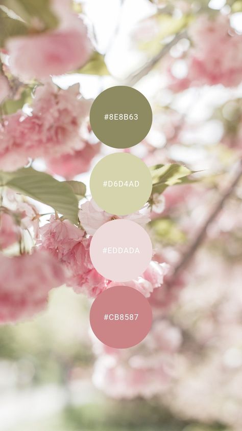 Sage And Pink Palette, Light Pink Pallet, Light Pink And Green Color Pallets, Pink Garden Color Palette, Colours That Go With Light Pink, Baby In Bloom Color Palette, Sage Pink Color Palette, Spring Pink Aesthetic, Sage And Pink Aesthetic