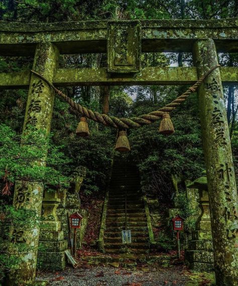 Japanese Temple Aesthetic, Fantasy Shrine, Japanese Temples, Japanese Buildings, Japanese Forest, Japanese Nature, Japanese Shrine, Beppu, Japanese Temple