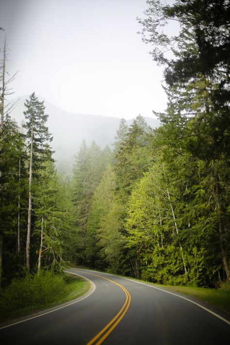 Dream Luxe Farm Stay - Evergreen Acres Farm, Bainbridge Island — Lauren Spindle Seattle Gum Wall, Sweet Nursery, Beautiful Farm, Bainbridge Island, Farm Stay, Olympic National Park, Above The Clouds, How To Make Breakfast, The Pacific Northwest