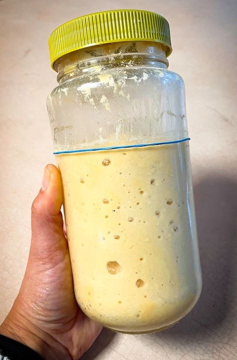 Lupin Flour Sourdough Starter - Keto, Low-Carb, Vegan Keto Sourdough Starter Recipe, Low Carb Sourdough Starter, Low Carb Dough, Lupin Flour Cake Recipes, Lupin Flour Recipes Keto, Low Fermentation Diet Recipe, Keto Sourdough Bread Starter, Lupine Flour Recipes, Keto Recipes Using Lupin Flour