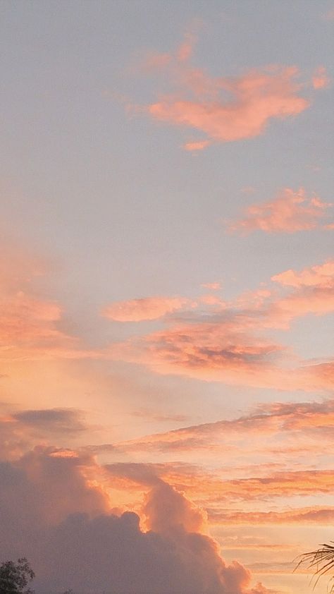 Sunset Clouds Aesthetic, Aesthetic Tumblr Backgrounds, Beach Cartoon, New Movie Images, View Aesthetic, Peach Wallpaper, Tumblr Backgrounds, Pastel Sky, Pretty Backgrounds