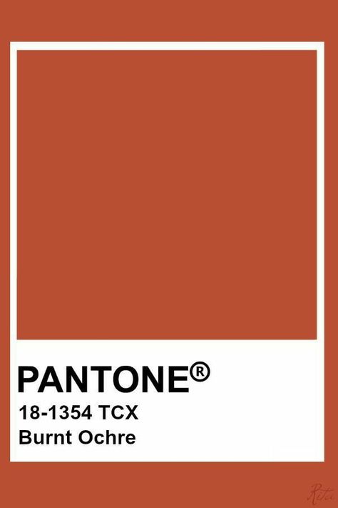 Orange Pantone, Pantone Orange, Pantone Tcx, Pantone Color Chart, Pantone Swatches, Pantone Palette, Pantone Colour Palettes, Rooibos Tea, Dorm Ideas