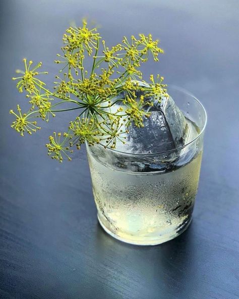 London’s Cocktails 🍸 on Instagram: “What’s The Big Dill ✨Friday inspiration ✨ from @jamespark0518 over in 🇨🇦   A floral, low ABV serve inspired by a nearby garden made with…” Cocktails Presentation, Herbal Cocktails, Botanical Cocktails, 7 Course Meal, Cocktails Aesthetic, Garden Cocktail, Friday Inspiration, Big Dill, Table Restaurant