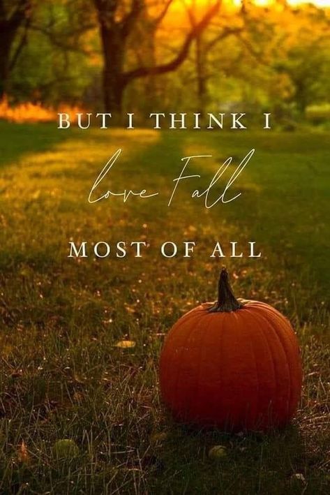 September Fall, Happy September, I Love Fall, Love Fall, Pumpkins, I Know, I Love