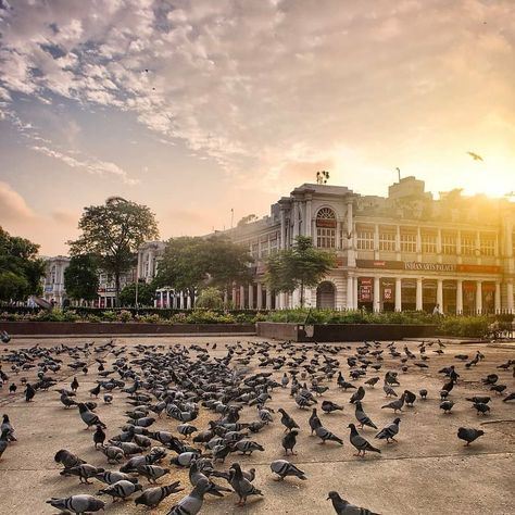 Dildilli on Instagram: “Connaught place 💜 . . 📸 @thecanonfanboy .  Keep following us for interesting pictures and don't forget to tag #dildilli on your beautiful…” Delhi Connaught Place, Interesting Pictures, Connaught Place, Travel India, Thanks A Lot, India Tour, Fancy Jewelry, Type Setting, Incredible India