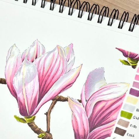 Credit to: ohuhu instagram Flower To Draw, Alcohol Art, Ohuhu Markers, Art Markers, Favorite Flower, Flower Artwork, Floral Artwork, Marker Art, Flower Illustration