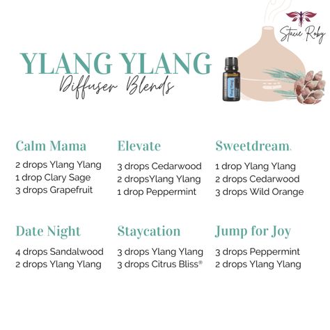 Ylang Ylang Blends, Yang Ylang Diffuser Blends, Doterra Ylang Ylang Diffuser Blends, Ylang Ylang Essential Oil Blends, Ylang Ylang Diffuser Blends, Doterra Ylang Ylang, Bible Quizzing, Relaxing Essential Oil Blends, Essential Oil Perfume Blends