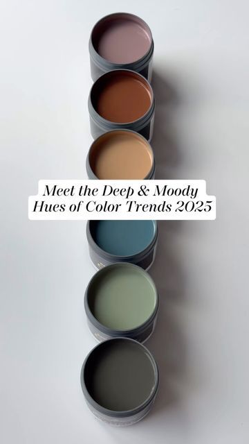 Benjamin Moore on Instagram: "Envelop your space in the moody hues from the #ColorTrends2025 palette, including the Color of the Year 2025, Cinnamon Slate 2113-40. Whether you choose a cider-like brown like Chowning’s Tan CW-195 or a jewel tone like Stained Glass CSP-685, you’ll be setting a dramatic and sophisticated tone throughout your home. Watch above to discover their beauty, then visit our website or a locally owned store to purchase a color sample. #BenjaminMoore #Paint #Home #InteriorDesign #ColoroftheYear" Benjamin Moore Crisp Romaine, Burnt Orange Blush Color Palette, Benjamin Moore Stained Glass Paint, Cinnamon Slate Color, Moody Earth Tones Color Palette, Warm Moody Color Palette, Moody Spring Color Palette, Moody Home Color Palette, Mink Colour Palette