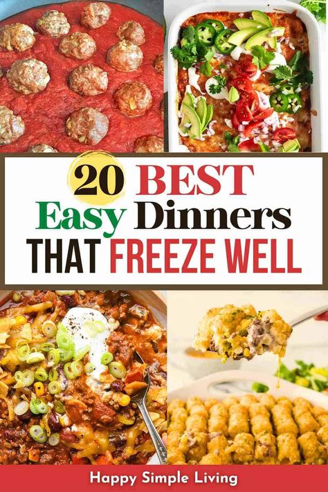 These easy freezer meals recipes are great for cooking a double dinner and freezing half for later. Cook once and enjoy these delicious meals twice! Freezer Friendly Dinners, Pioneer Woman Recipes Freezer Meals, Freezable Pasta Meals, Freezer Friendly Recipes, Large Batch Freezer Meals, Easy Freezer Dinners, Batch Cooking Recipes Freezer Meals, Meals To Make Ahead And Freeze, Premade Dinners For The Week