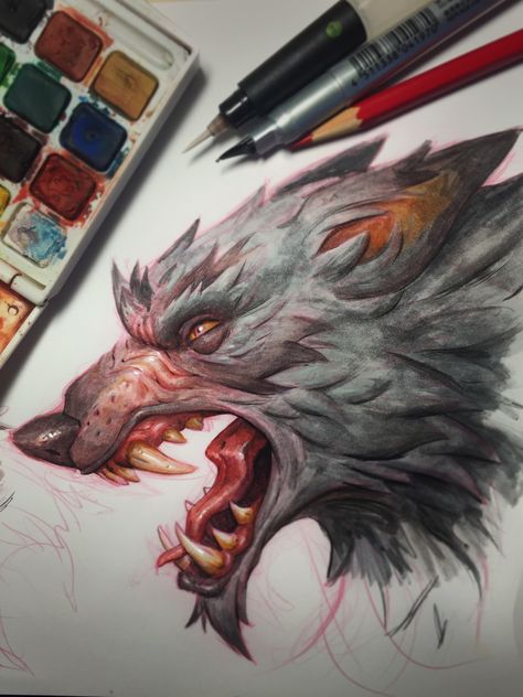 Concept Art World, Werewolf Art, Wolf Tattoos, A Wolf, Animated Drawings, Wolf Art, 애니메이션 캐릭터, Creature Design, Watercolor And Ink